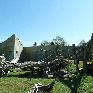 Spider Monkey/DeBrazza Guenon Exhibit