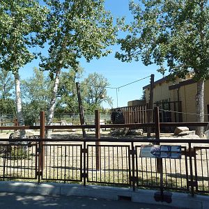 Elephant Crossing - Bull Yard