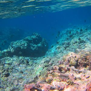 Edge of Reef
