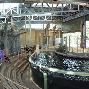 Destination Africa - Nile Hippo + Giraffe Exhibits