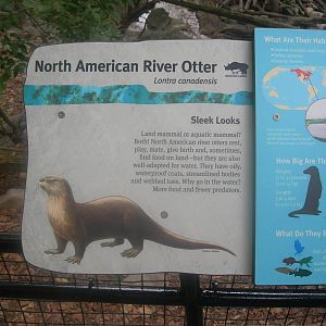 north american river otter sign