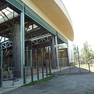 Destination Africa - Nile Hippo + Giraffe Exhibits