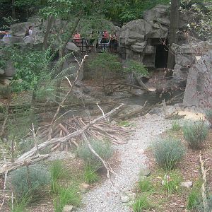 North American River Otter Exhibit
