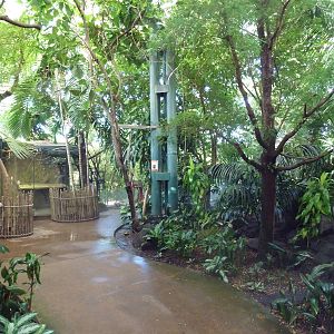 Destination Africa - Visitor Walkway