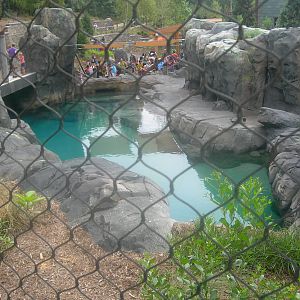 Gray seal Exhibit
