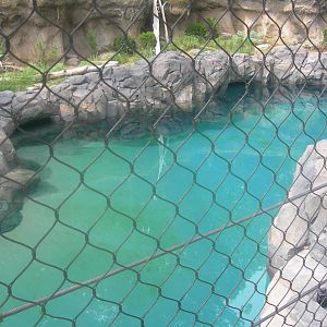 Gray seal Exhibit