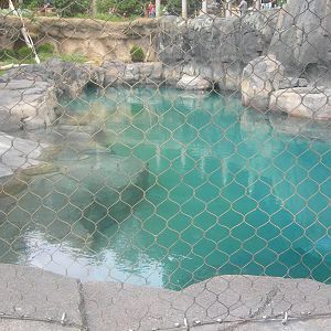 Gray seal Exhibit