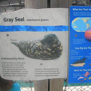Gray seal sign