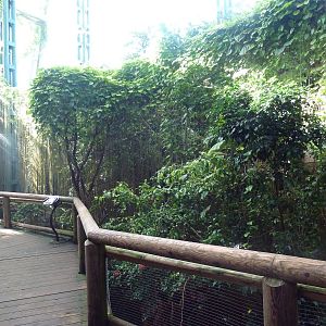 Destination Africa - Walk-Through Lemur Exhibit