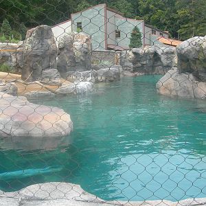California Sea Lion/Brown Pelican Exhibit