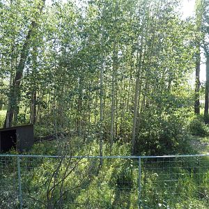 Destination Africa - Empty Exhibit (ex-bongo yard)