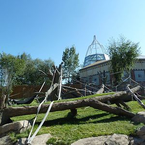 Destination Africa - Gorilla Exhibit