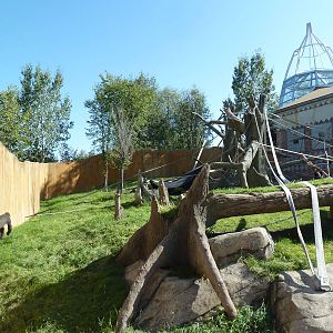 Destination Africa - Gorilla Exhibit