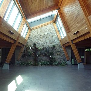 Conservatory - Entrance Foyer