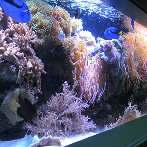 Tropical Travelers Exhibit