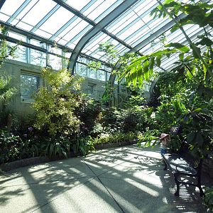 Conservatory - Garden of Life
