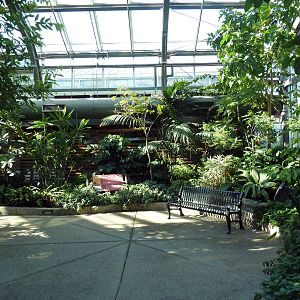 Conservatory - Garden of Life