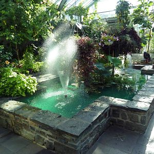 Conservatory - Butterfly Walk-Through Area