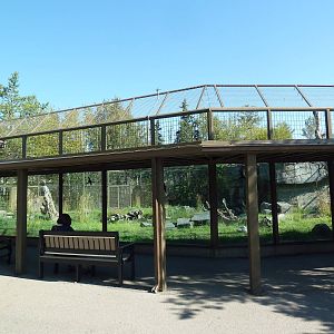 Emu/Black Swan/Bennetts Wallaby/Reeves Muntjac Exhibit