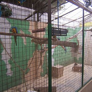 Cleethorpes The Jungle