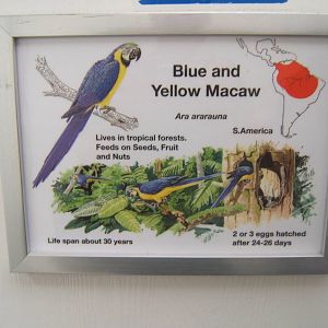 Cleethorpes The Jungle