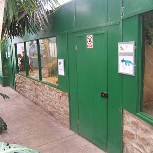 Cleethorpes The Jungle