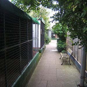 Cleethorpes The Jungle