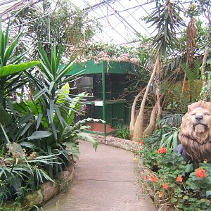 Cleethorpes The Jungle