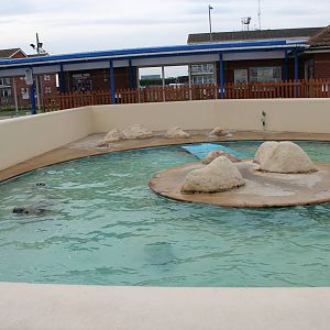 View of main seal pool 1