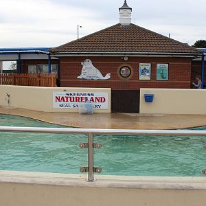 View of main seal pool 2