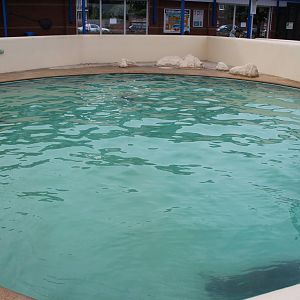 View of main seal pool 3