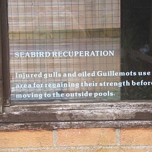 View of descripition of what this building is used for