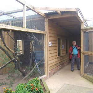 View of Native Owl complex