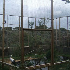 View of new Grey Heron and White Stork Aviary