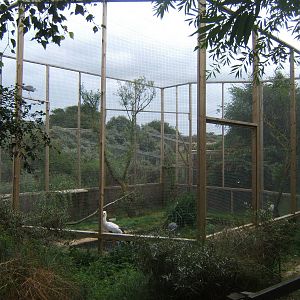 View of new Grey Heron and White Stork Aviary