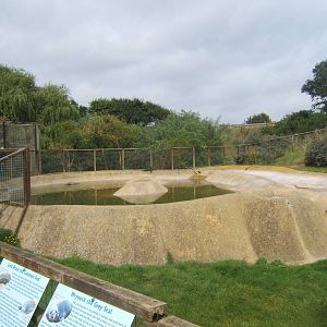View of Seal pools