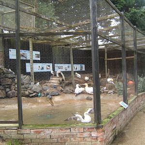View of Sea Bird Aviary