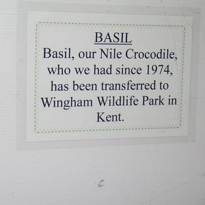 Sign about the depature of their Nile Crocodile