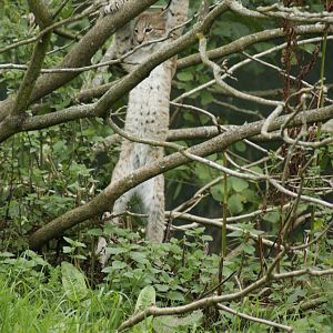 climbing not going so well!!