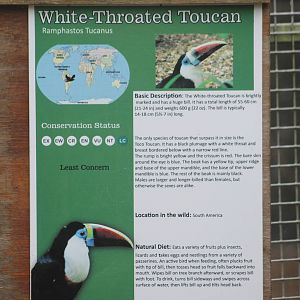 The Parrot Zoo, signage