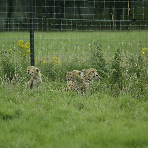 6 out of 7 ain't bad!