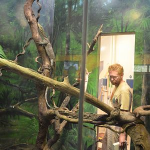 Grays Monitor and Keeper