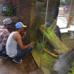 My Two Sons First Visit To LAIR