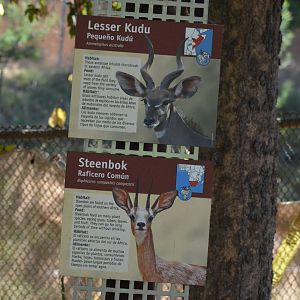 Lesser Kudu/Steenbok Signage