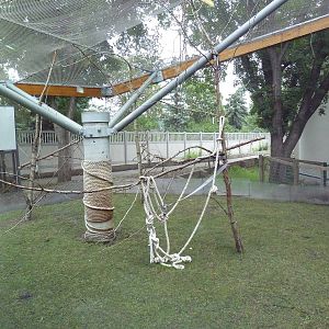 Makira Outpost - Lemur Complex