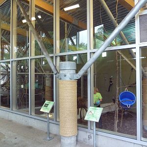 Makira Outpost - Lemur Complex