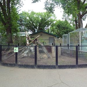 North American Porcupine Exhibit