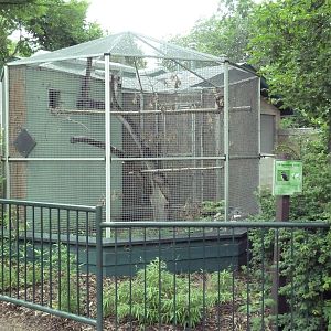 Spectacled Owl Exhibit