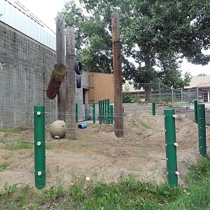 Asian Elephant Exhibit - Small Side Yard