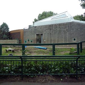Asian Elephant Exhibit